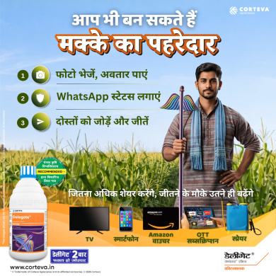 डेलीगेट अभियान: भाग लेने के चरण और पुरस्कार